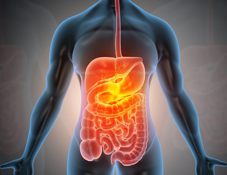 Cirurgia do Aparelho Digestivo